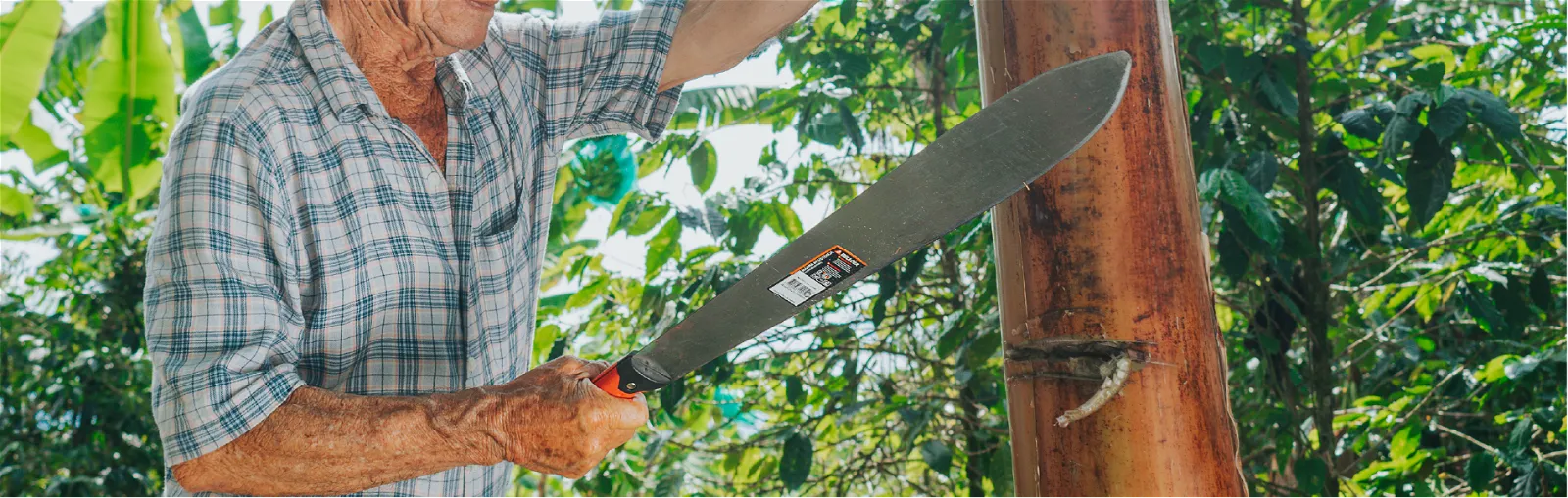 machete mano y su influencia en la agricultura moderna