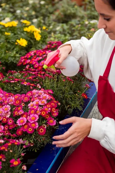 10 Flores imprescindibles en nuestro Huerto o Jardin