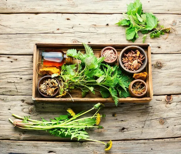 7 aromáticas imprescindibles para tu huerto urbano o jardín