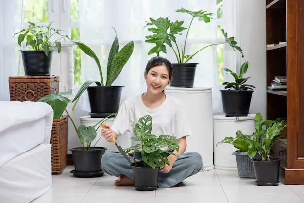 7 plantas que purifican el aire de tu casa y cómo cuidarlas