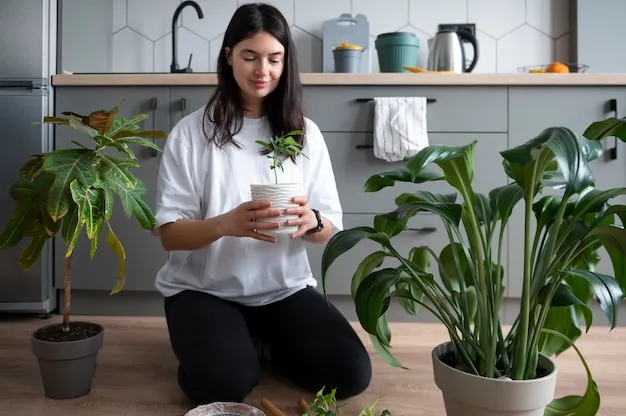 7 plantas que purifican el aire de tu casa y cómo cuidarlas