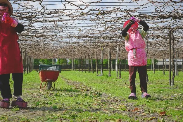 Como Adelantar Cultivos De Verano En Invierno