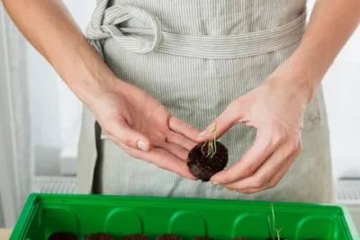 Como Hacer Una Herramienta De Siembra Casera Tamano Medio