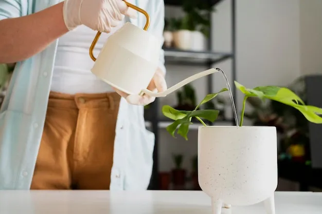 cómo hacer una regadera casera fácilmente y con materiales reciclados