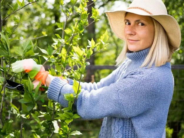 cómo injertar un frutal en tu huerta: técnicas y consejos básicos