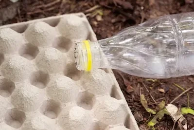 Como Instalar Un Refugio De Mariquitas En El Huerto