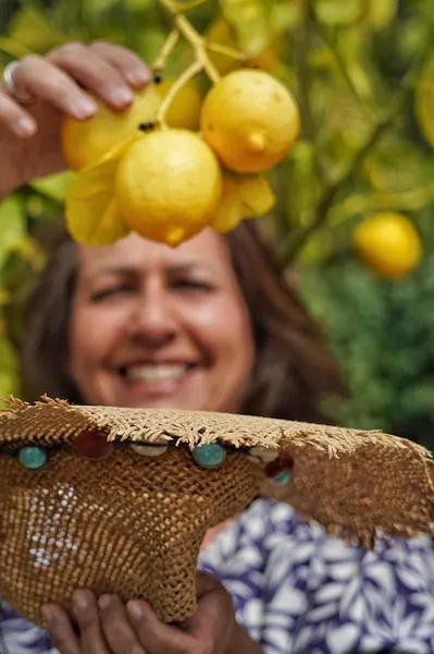 cómo plantar un limonero en el huerto o jardín, consejos y trucos prácticos