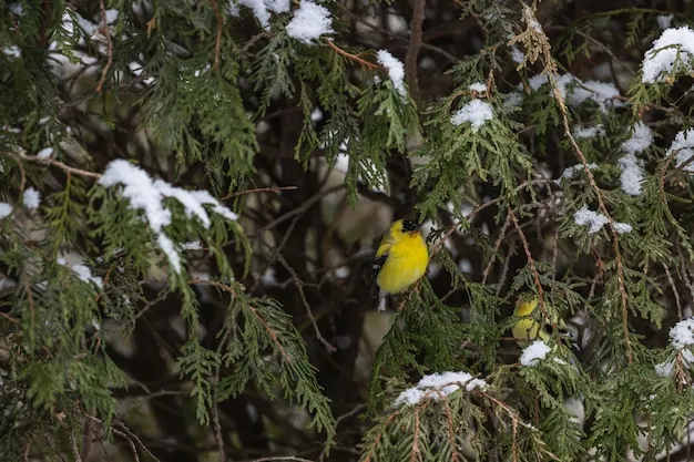 cómo proteger un limonero de las heladas del invierno para asegurar tu cosecha