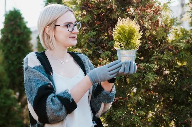 cómo y por qué plantar saúco en el huerto, un árbol mágico en tu jardín