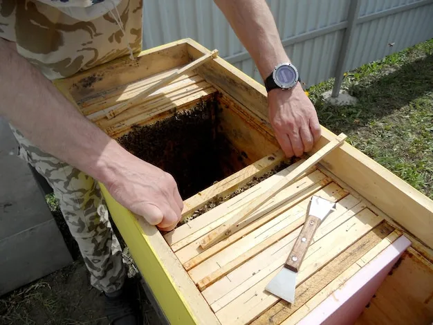 cómo construir una caseta para ahumar alimentos en tu patio