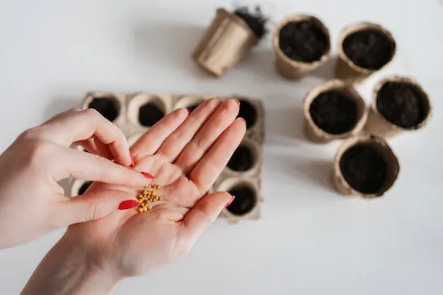 cómo germinar cerezas desde las semillas con éxito garantizado