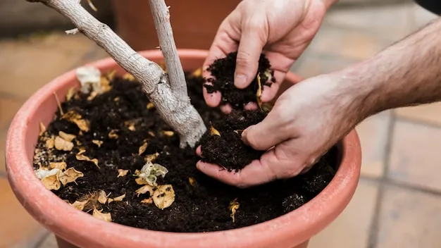 cómo germinar semillas de manzana para sembrar o plantar de forma efectiva