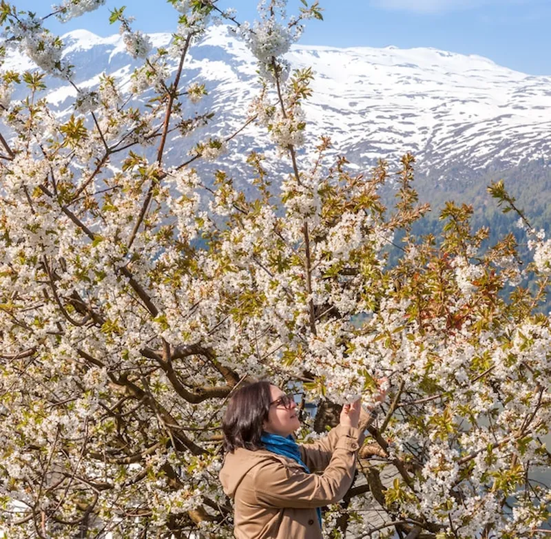 cómo plantar y cuidar un almendro en climas fríos, consejos prácticos