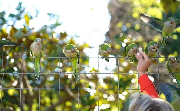 cómo proteger la fruta de los pájaros en el huerto o jardín para evitar pérdidas