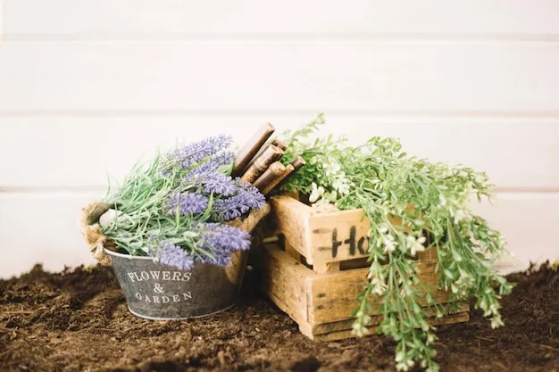 cuidados de la lavanda, todo lo que necesitas saber para cultivarla en casa