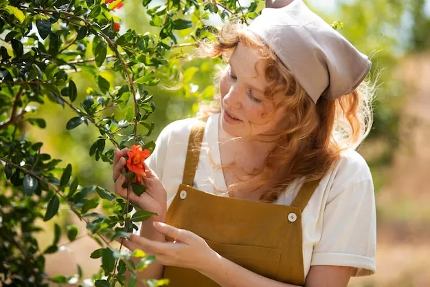 cultivo y cuidados del árbol guayaba fresa en la huerta, todo lo que necesitas saber