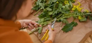 Guia De Cultivo De Aromaticas En El Huerto