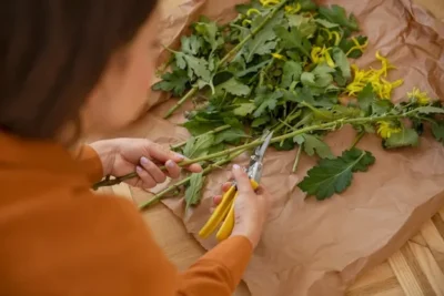 Guia De Cultivo De Aromaticas En El Huerto