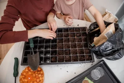 Hacer un Semillero De Cama caliente Casero