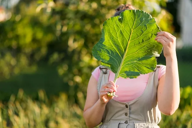 llantén, la planta que cuida al hortelano y sus múltiples beneficios