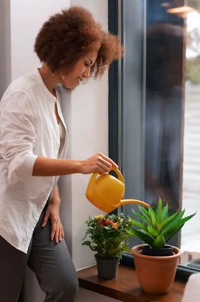 plantar mango en casa, todo lo que necesitas saber