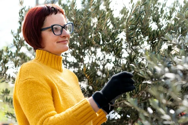 poda de frutales en invierno, consejos para hacerlo bien