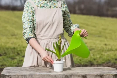 Regadera Casera Como Hacer Una Regadera Casera de Botella Para Plantas