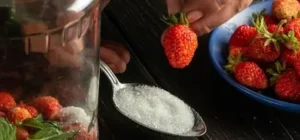 Semillas De Fresas O Frutillas Como Sacar Las Semillas Nosotros Mismos