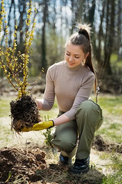 uso del biochar para plantar y el cuidado de árboles, beneficios y consejos prácticos